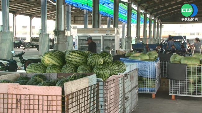 新品種紅肉小西瓜  瞄準個人消費市場 | 華視新聞