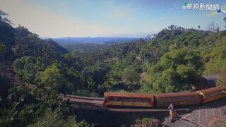 雅虎公布台灣10大必去景點 阿里山登榜首