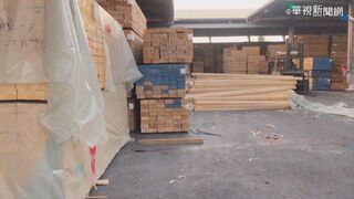 4種台灣貴重木  12/1起管制出口