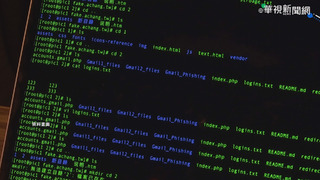 聲援白紙運動  駭客組織攻擊中國政府網站