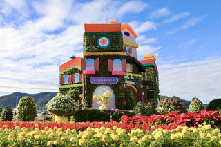 台中國際花毯節登場 打造台灣普羅旺斯之美