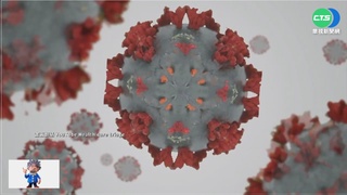 官媒央視引述專家解讀 稱Omicron重危率比流感低