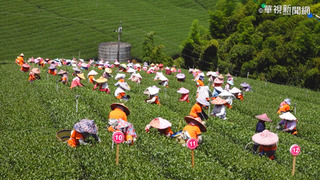 全國十大神農選拔 南投縣羅正彬、張佳宏獲肯定