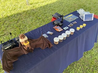 打造友善台灣狐蝠環境 花縣府推棲地保育指南