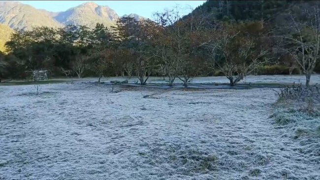 武陵農場地面結霜 銀白色景象充滿歐洲風情 | 華視新聞