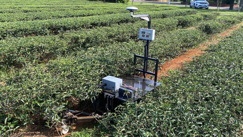 機器人助茶園除草無人化 閃避障礙不傷樹根 | 華視新聞