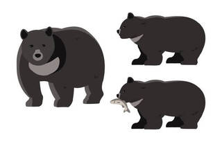 網傳民眾載癱軟無力黑熊 屏檢掌握釐清