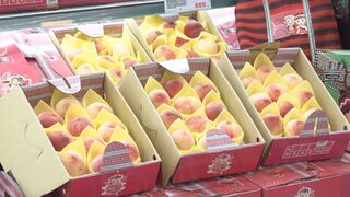 年關將屆  中市福兔賀歲好禮季活動開跑