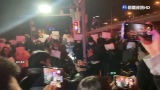 盧沙野：白色是顏色  白紙運動也是顏色革命