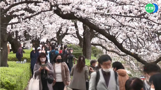 立委憂疫後觀光業缺工 難吸引國際觀光客來台