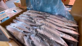 水產輸中受阻 陳吉仲：降低單一不友善市場衝擊