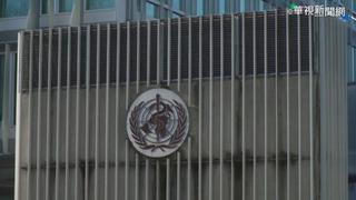 世衛：1/4烏克蘭人恐因戰爭罹患精神疾病