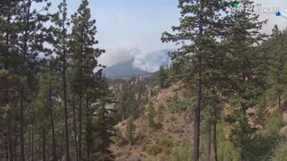 林業剩餘資材不浪費  萃取精油助部落產業創新