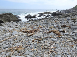 大數據與DNA鑑識  瑞芳陰陽海岸無名屍終回家