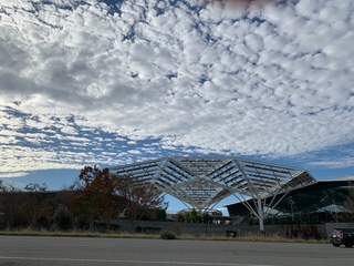 美2/3地區迎酷寒耶誕  加州飆高溫異常溫暖