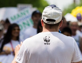 柬埔寨瀕危淡水豚連3死 保育團體籲查非法捕魚