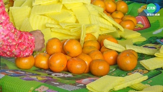 茂谷柑禁輸中  斗六公所辦市集、雲縣府拚外銷