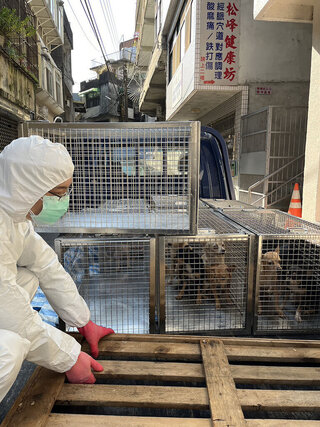 婦涉不當飼養犬隻致死遭檢舉 竹縣動保所開罰