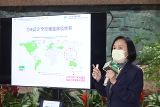 滅豬瘟、無口蹄疫及非洲豬瘟 台養豬業將名列前茅