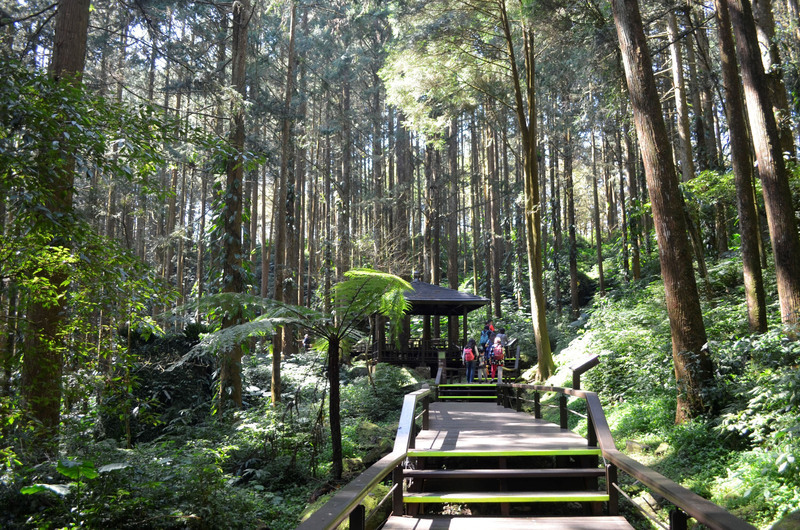 嘉縣邀元旦阿里山看日出  遊奮起湖賞美景 | 華視新聞