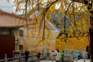 小寒如春分  中國多地暖到破紀錄