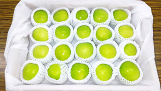 棗子繼成功銷日 首批通過藥檢進軍韓國