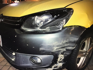 梅花鹿突衝出與車相撞釀車損  墾管處：可申請理賠