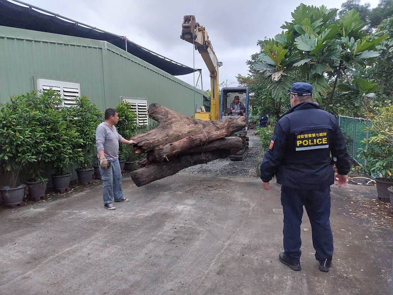 警破山老鼠集團 宜蘭查獲逾7噸貴重木逮5嫌 | 華視新聞