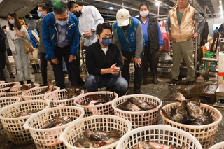 蔣萬安視察批發市場  迎春節果菜下週起增供貨量