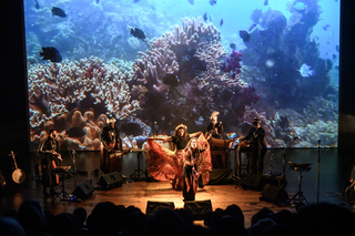 小島大歌國外音樂人訪台彷彿回家 讚台東海灘乾淨