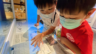 寒假去哪玩   社教、文化機構辦3千場活動