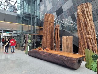 台灣巨木展蘭博登場  奇珍樹瘤宛如鬼斧神工