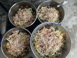 毛孩子也要年夜飯 新北動物之家加菜添喜氣