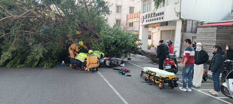 台中路樹疑不敵強風傾倒  3人騎車經過遭壓傷 | 華視新聞