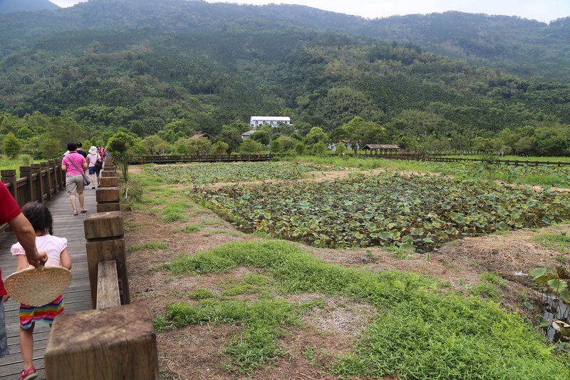 花蓮馬太鞍濕地 緊繫光復鄉和原民歷史 | 華視新聞