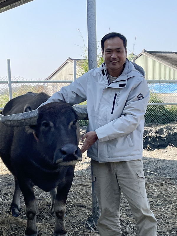 土庫青農打造老牛安養中心 推動生命教育 | 華視新聞