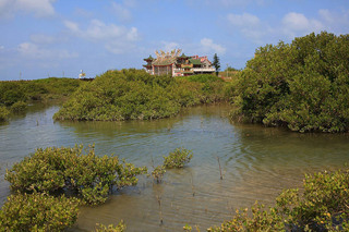 國家級澎湖青螺濕地 自然人文生態最豐富