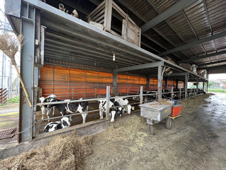 桃園市寒害應變機制續運作  因應低溫威脅