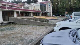 零下低溫福壽山農場車子樹葉結霜 成浪漫白色世界