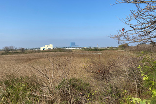 立委質疑學甲動保園區選址 南市：已遷葬公墓非濕地