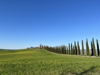 義大利婚禮旅遊業復甦  市場規模達近200億元