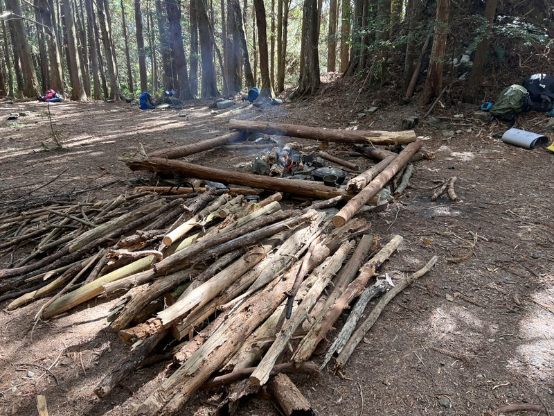 八仙山林地內引火炊煮  21人觸法當場查獲 | 華視新聞