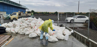 彰化雞場驗出禽流感病毒 撲殺逾2.3萬隻蛋雞