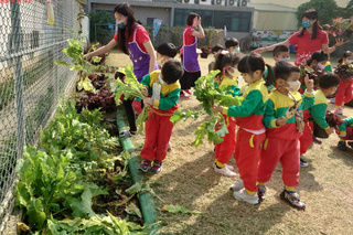 台南幼兒園響應家扶助學 小朋友摘自種蔬菜義賣