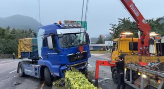 拖板車閃野狗衝上分隔島 台9線知本段清晨管制