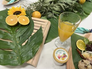 東海岸香丁將上市  3/12邀民眾健康路跑吃鮮果