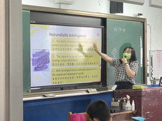 桃園市國中小比照高中  代理教師實施全年聘期