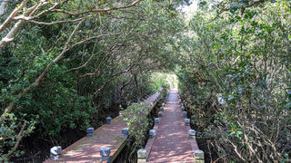 嘉義林管處為保安林命名  傳承在地故事喚起關注