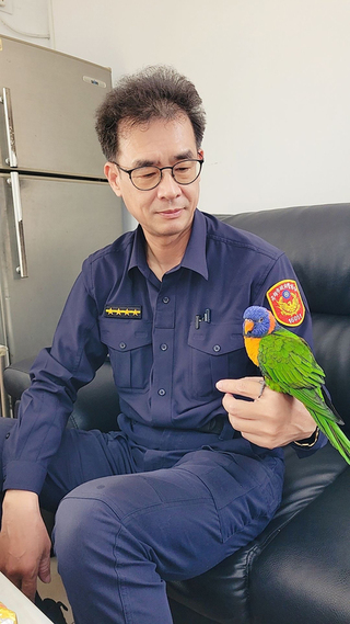 吸蜜鸚鵡站交警肩膀  派出所協尋終與飼主團聚