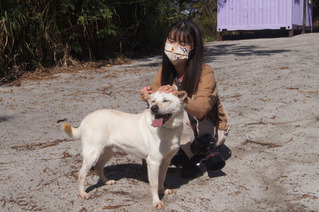 IG鏡頭記錄人狗真摯互動 彰化志工幫50隻浪浪找到家